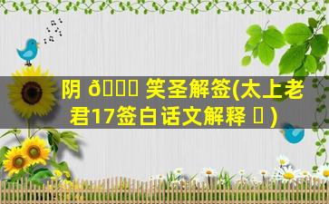 阴 🐞 笑圣解签(太上老君17签白话文解释 ☘ )